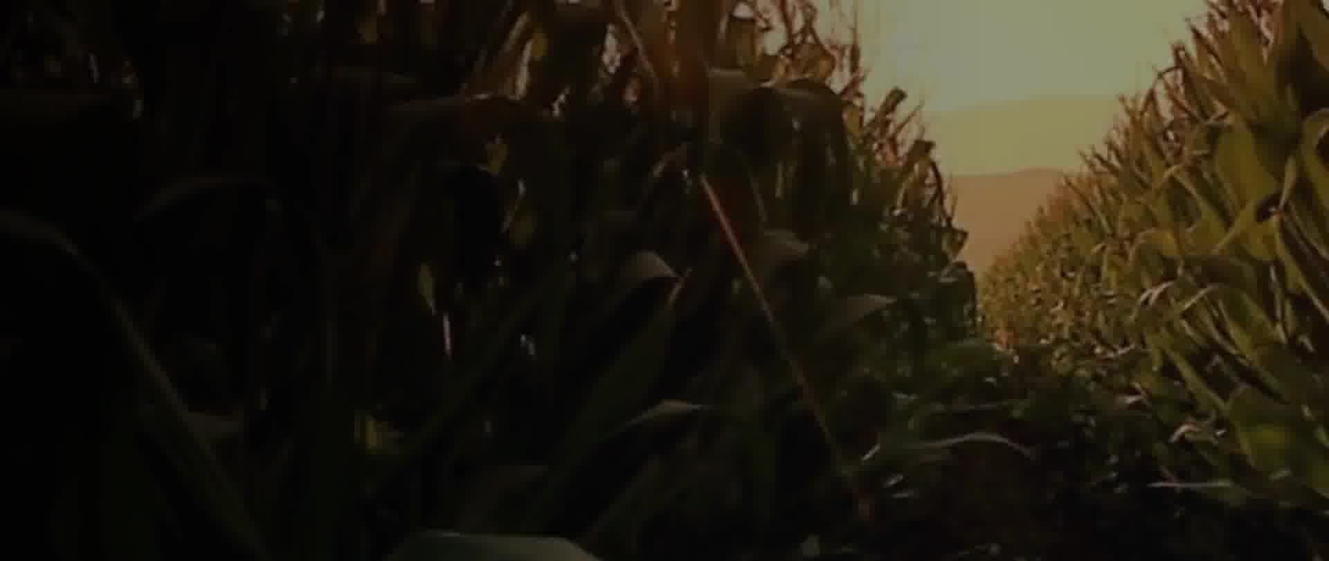 ezgif-frame-013