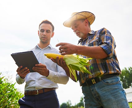 two farmers standing in a field; one is holding a cob of corn and the other is holding a tablet
